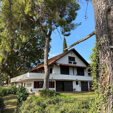 Wild Oaks Cottage Kриопиги Екстериор снимка
