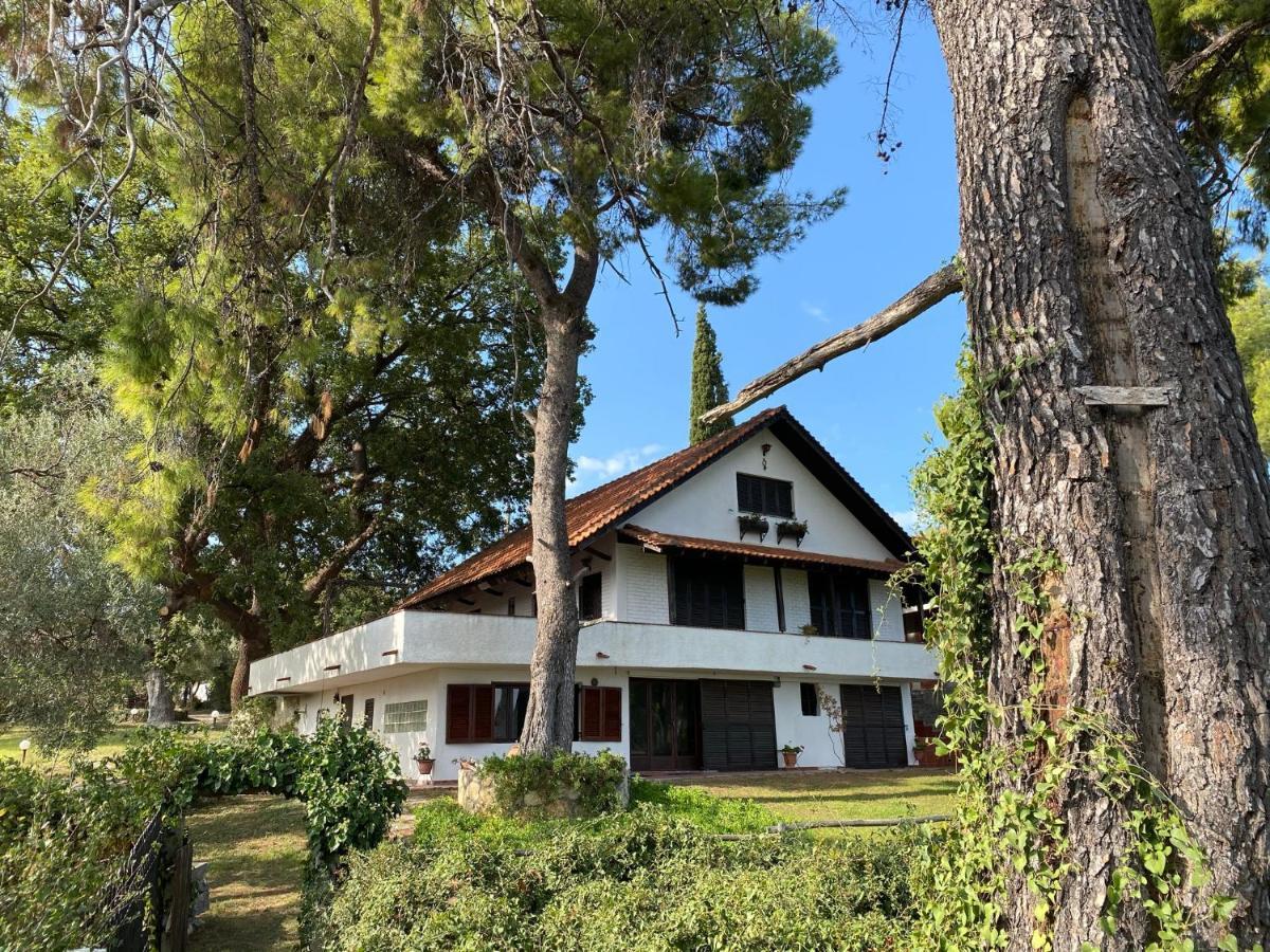 Wild Oaks Cottage Kриопиги Екстериор снимка