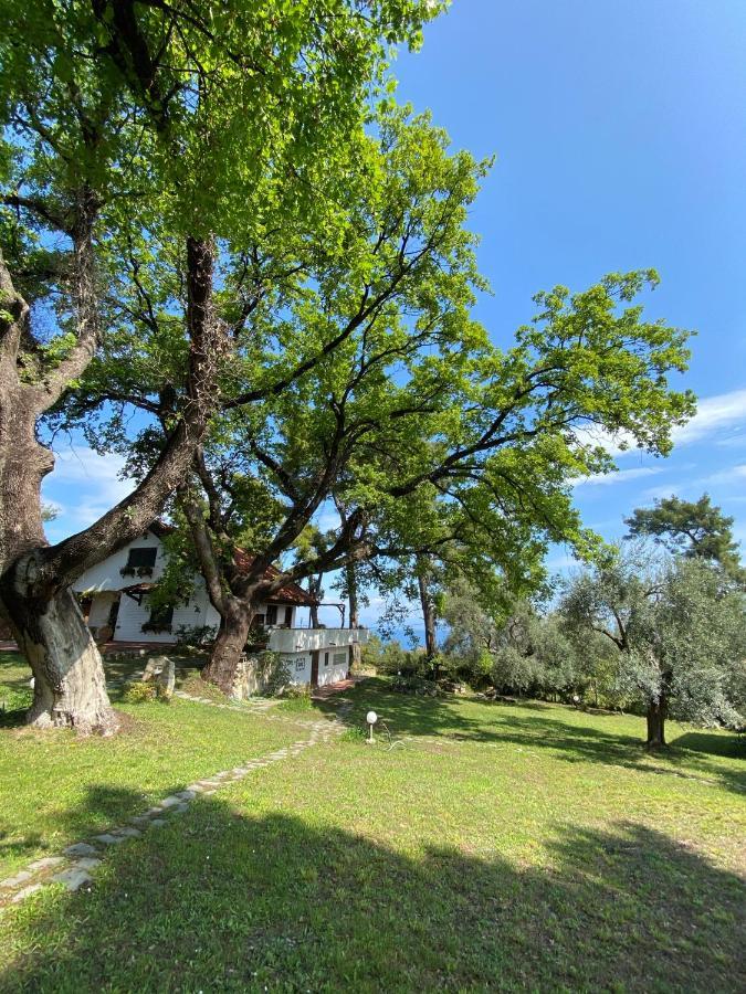 Wild Oaks Cottage Kриопиги Екстериор снимка