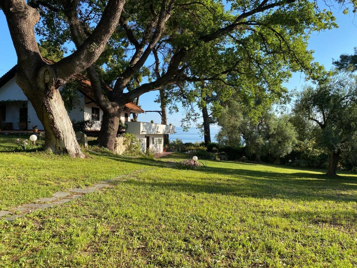 Wild Oaks Cottage Kриопиги Екстериор снимка
