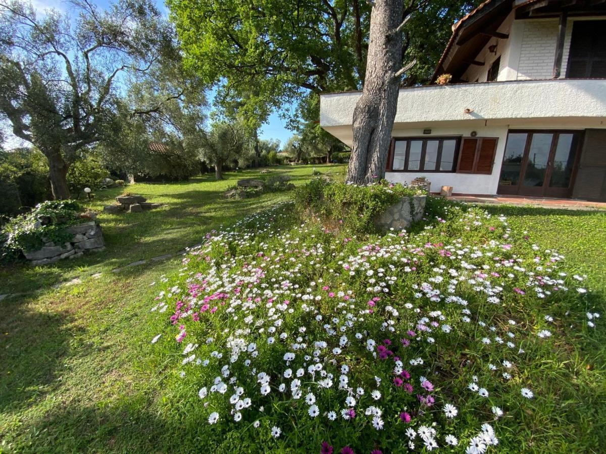 Wild Oaks Cottage Kриопиги Екстериор снимка
