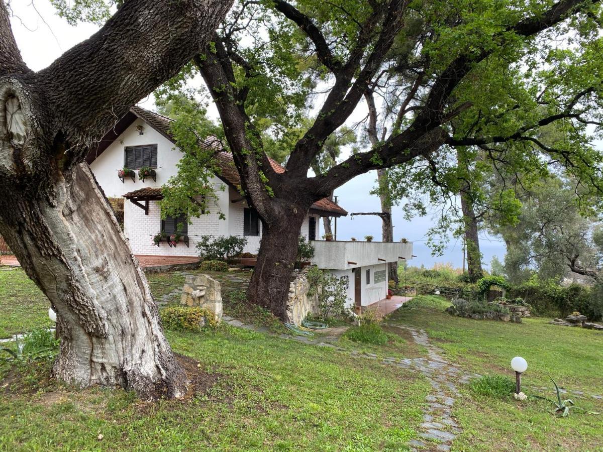 Wild Oaks Cottage Kриопиги Екстериор снимка